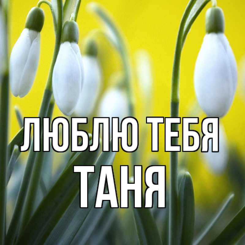Картинка Люблю тебя, Таня