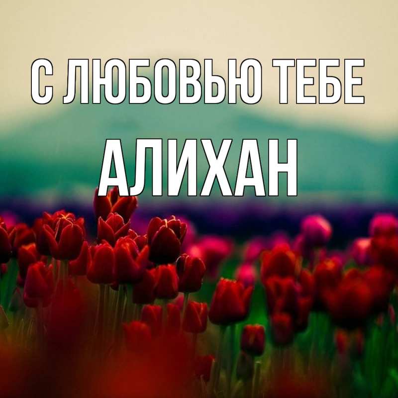 Картинка С любовью тебе, Алихан