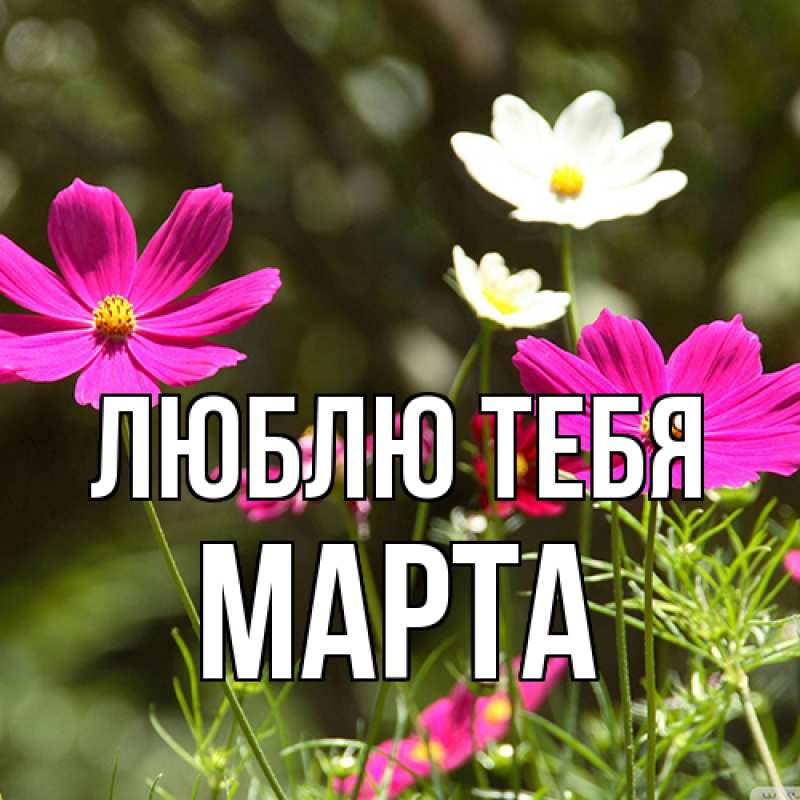 Картинка Люблю тебя, Марта