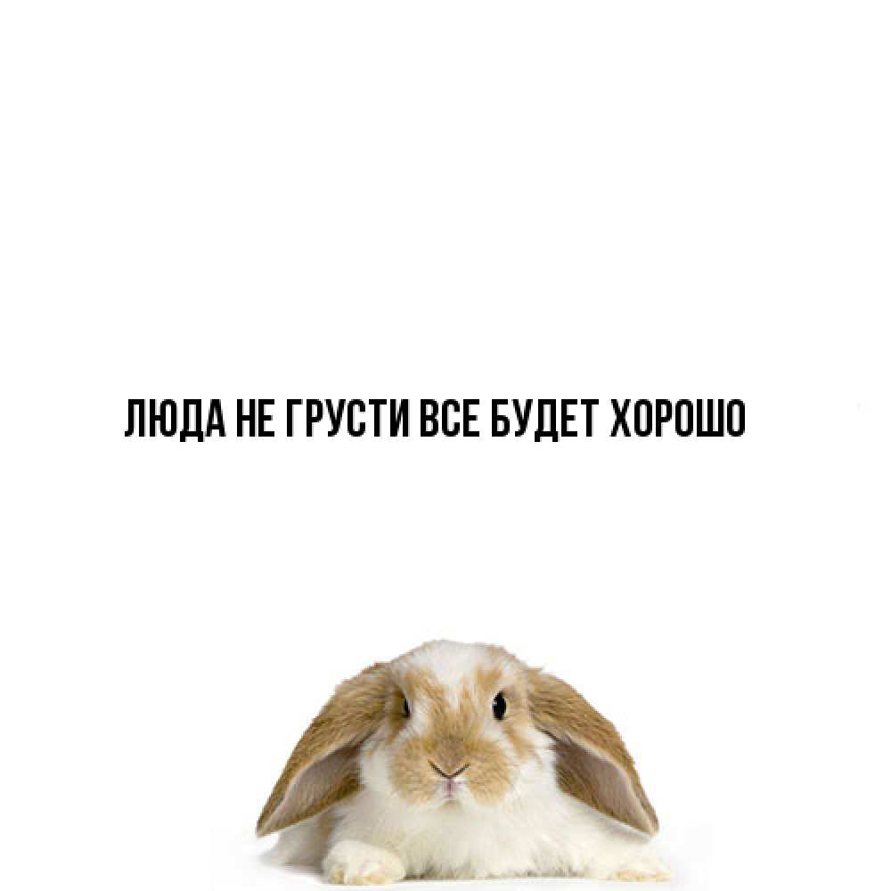 Открытка на каждый день с именем, Люда Не грусти, все будет хорошо коричнево белый заяц с большими ушками Прикольная открытка с пожеланием онлайн скачать бесплатно 