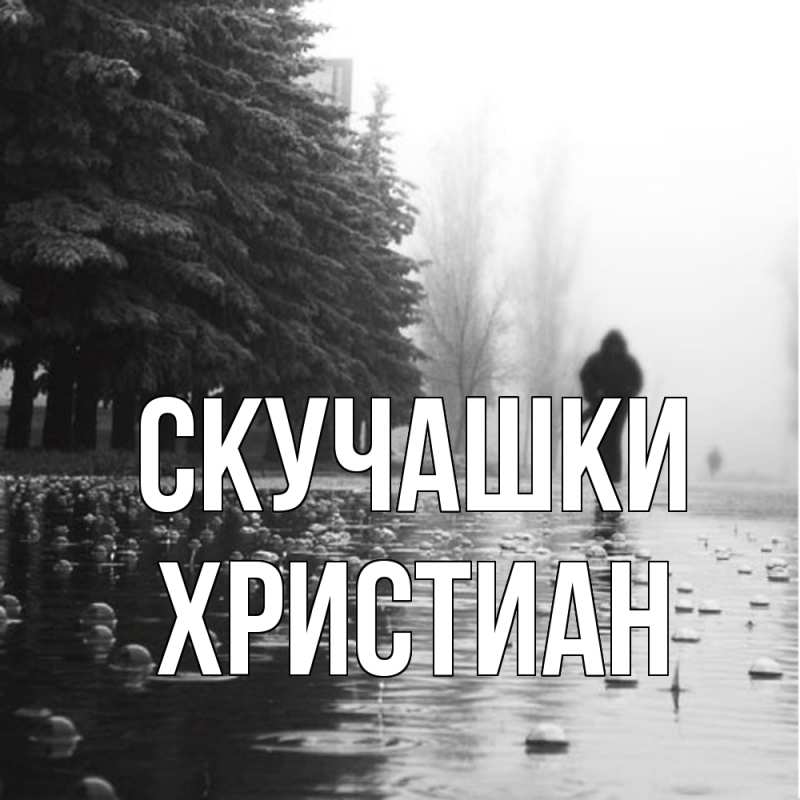Картинка Скучашки, Христиан