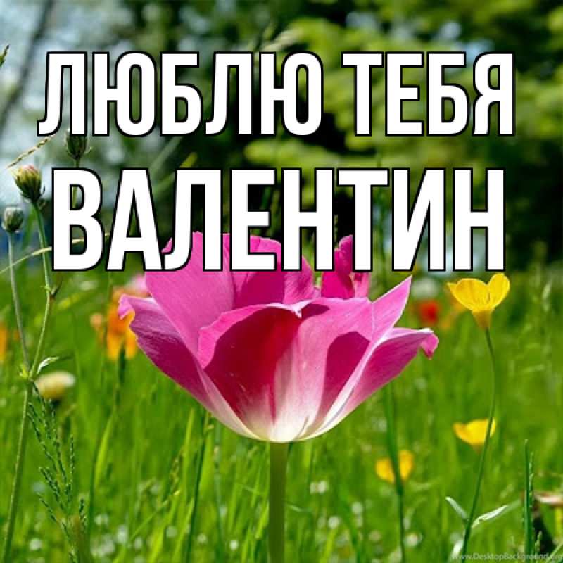 Картинка Люблю тебя, Валентин