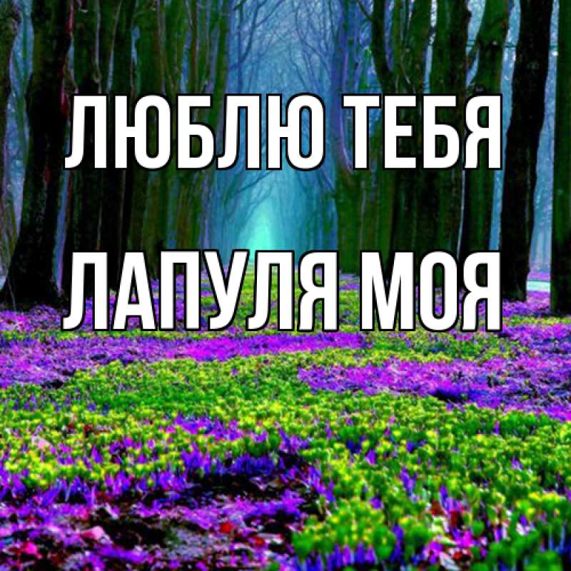 Картинка Люблю тебя, Лапуля моя
