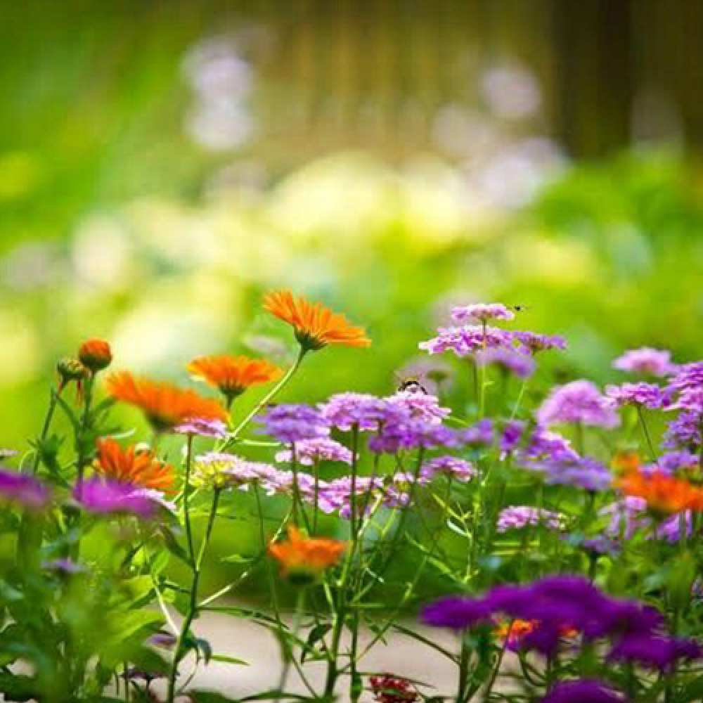 Открытка на каждый день с именем, Агунда Люблю тебя цветы Прикольная открытка с пожеланием онлайн скачать бесплатно 