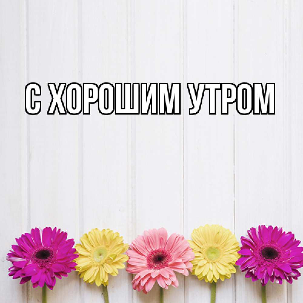 Открытка на каждый день с именем, Дима Люблю тебя женщинам 1 Прикольная открытка с пожеланием онлайн скачать бесплатно 
