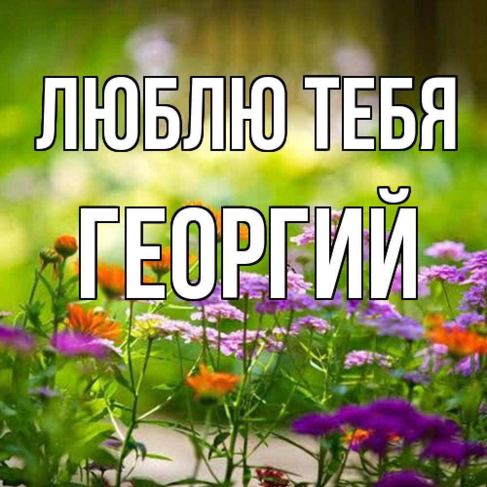 Открытка на каждый день с именем, Георгий Люблю тебя цветы Прикольная открытка с пожеланием онлайн скачать бесплатно 