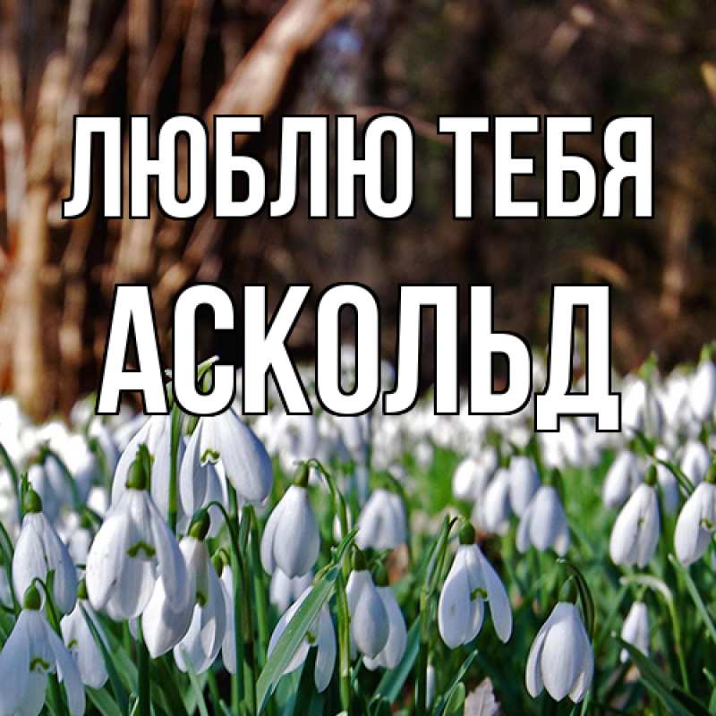 Открытка с именем, Аскольд, Люблю тебя