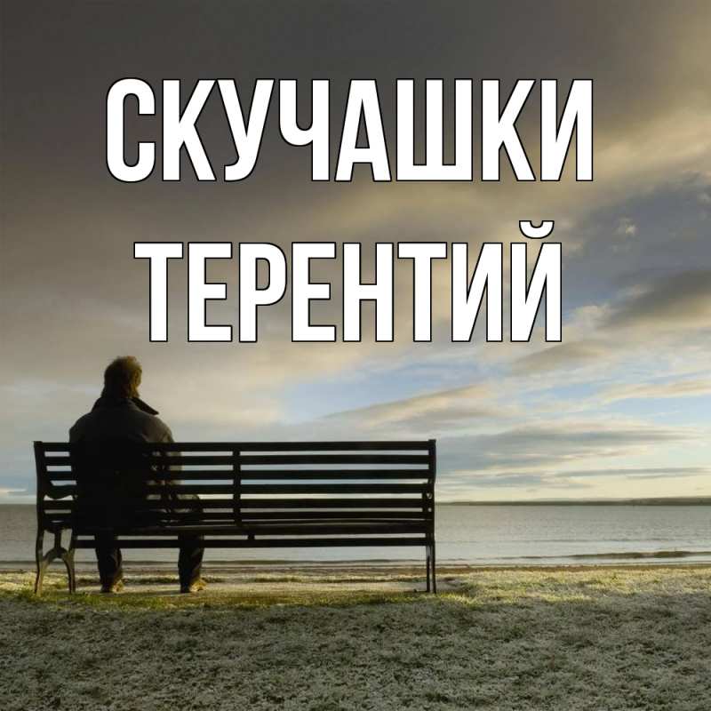 Картинка Скучашки, Терентий