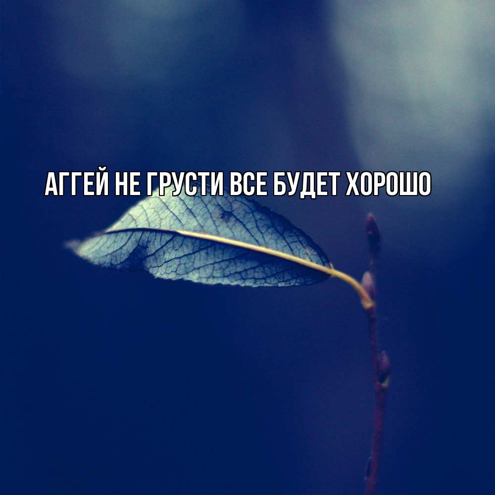 Открытка на каждый день с именем, Аггей Не грусти все будет хорошо растение Прикольная открытка с пожеланием онлайн скачать бесплатно 