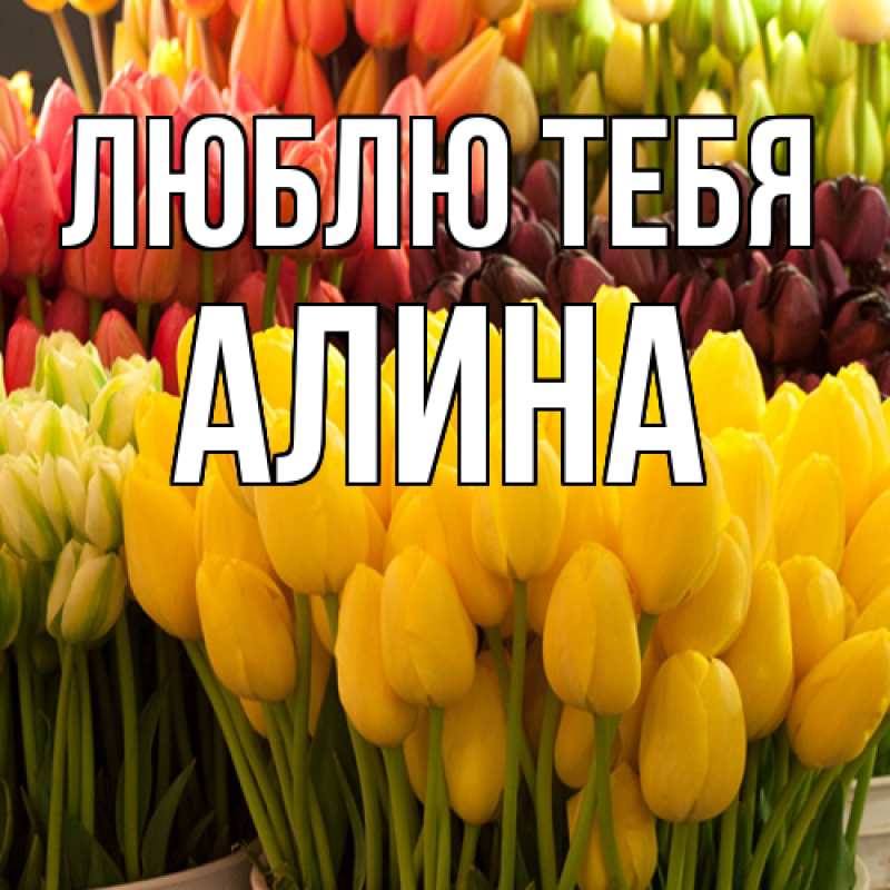 Картинка Люблю тебя, Алина