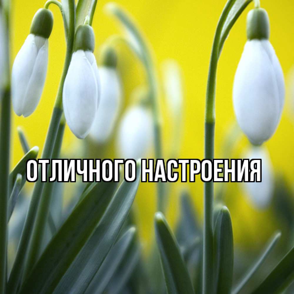 Открытка на каждый день с именем, Габриэлла Люблю тебя весенние цветы Прикольная открытка с пожеланием онлайн скачать бесплатно 