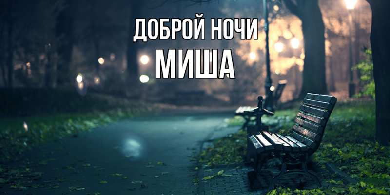 Картинка Доброй ночи, Миша