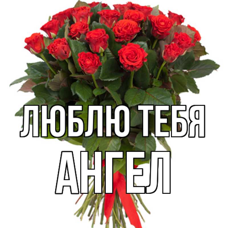 Картинка Люблю тебя, Ангел