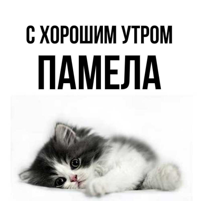 Картинка С хорошим утром, Памела