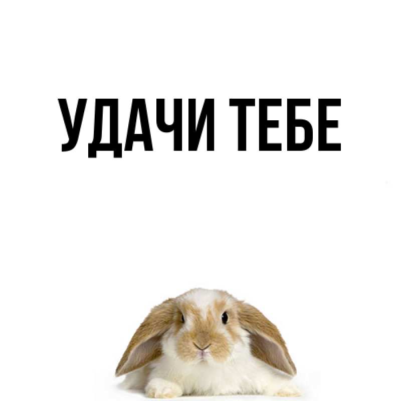 Картинка Удачи тебе, 