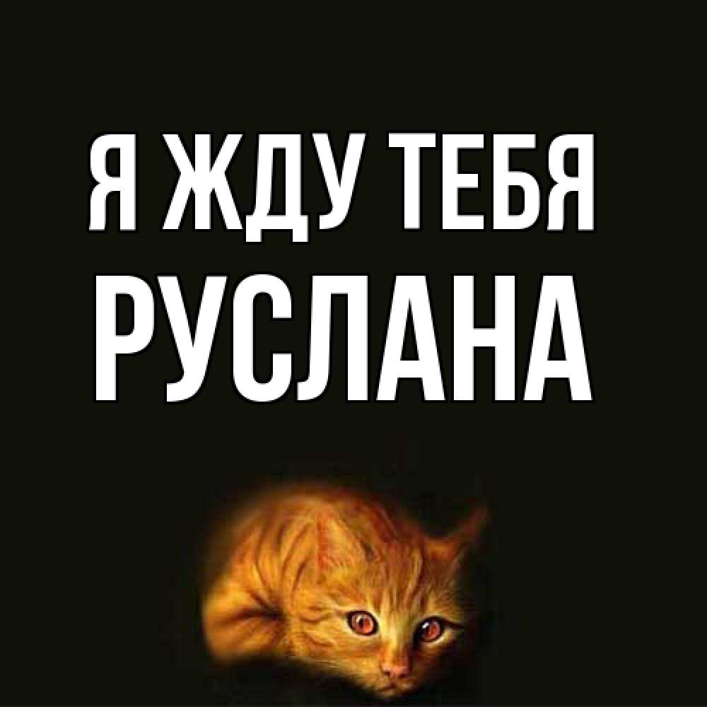 Открытка на каждый день с именем, Руслана Я жду тебя рыжий Прикольная открытка с пожеланием онлайн скачать бесплатно 