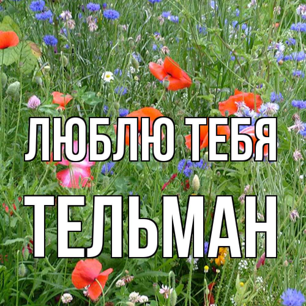 Открытка на каждый день с именем, Тельман Люблю тебя международный женский день 4 Прикольная открытка с пожеланием онлайн скачать бесплатно 