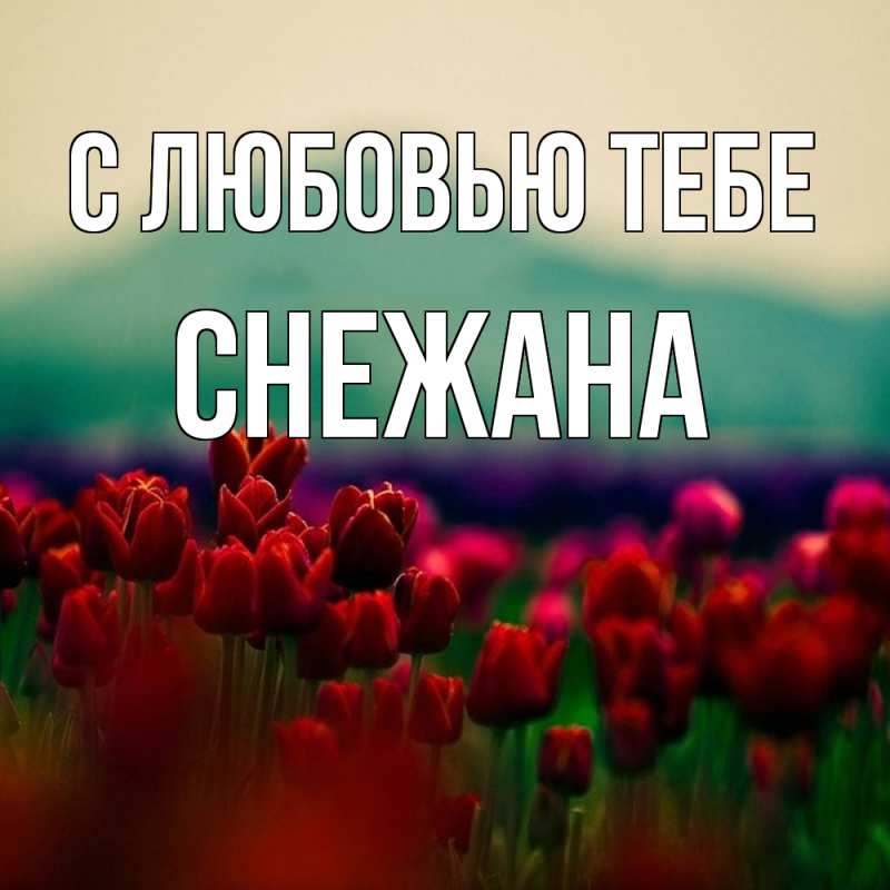 Картинка С любовью тебе, Снежана