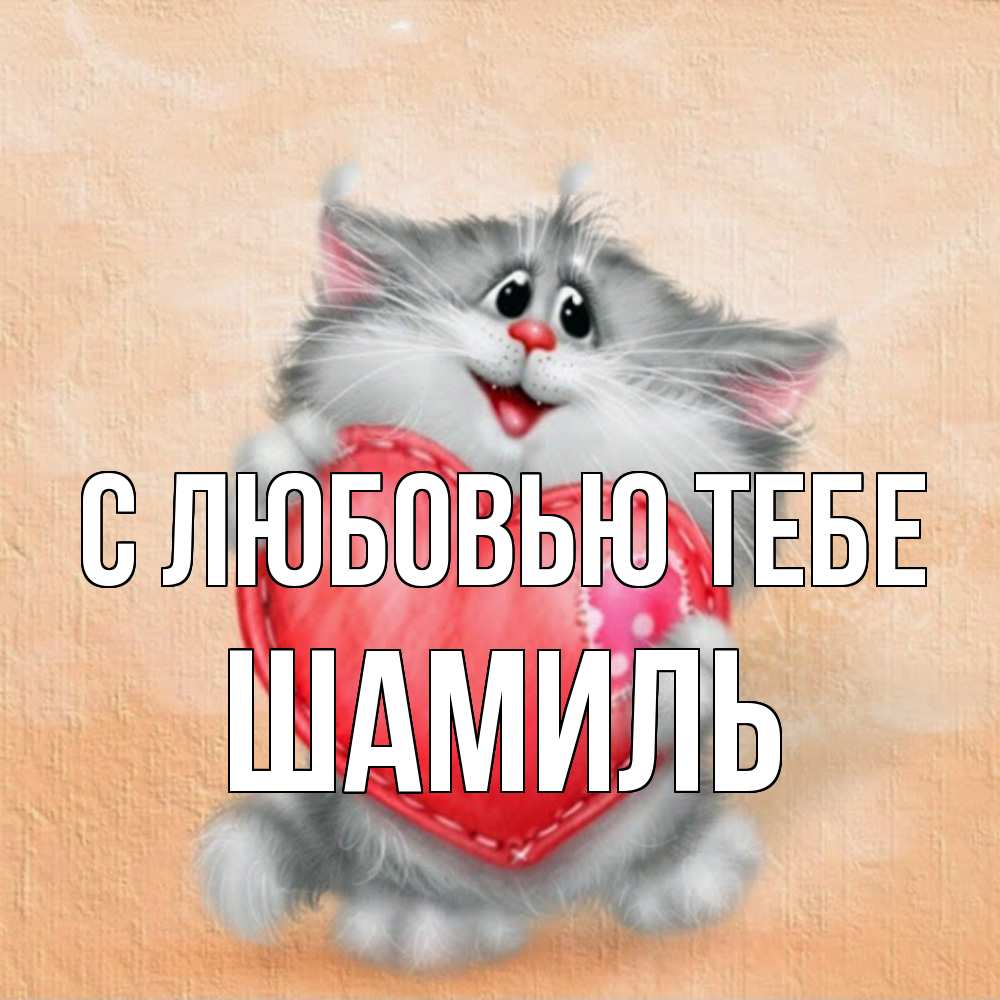 Открытка на каждый день с именем, Шамиль С любовью тебе сердце с заплаткой Прикольная открытка с пожеланием онлайн скачать бесплатно 
