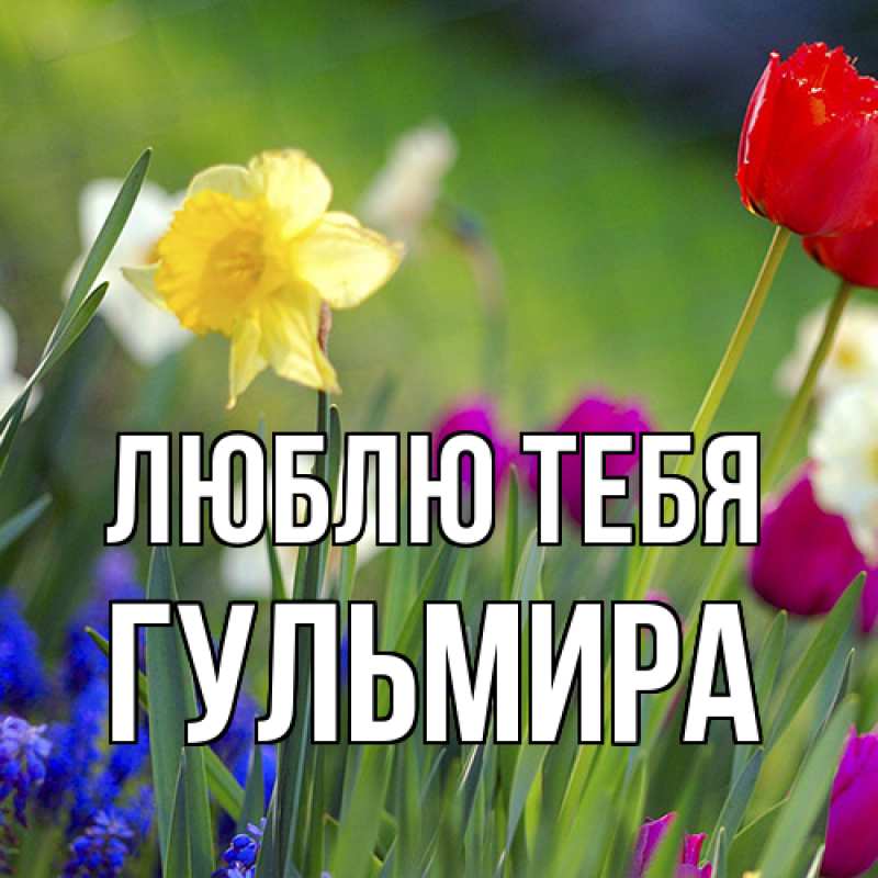 Картинка Люблю тебя, Гульмира