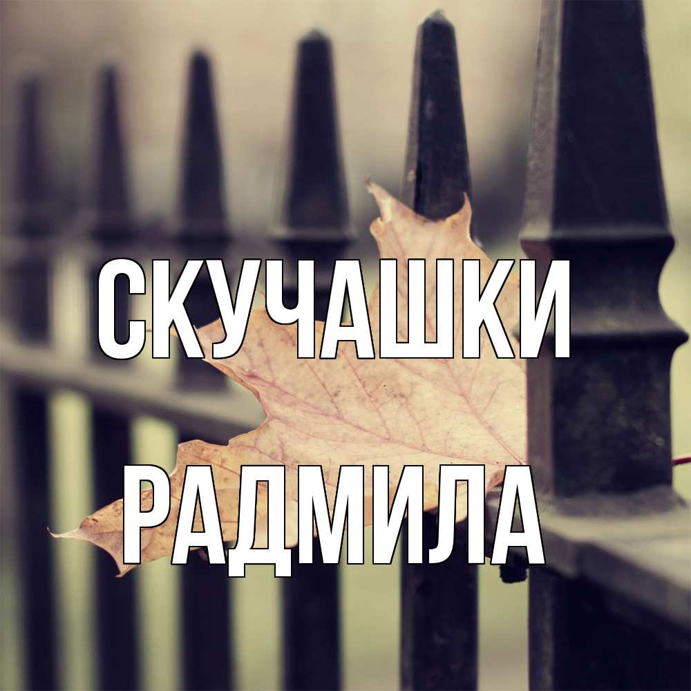 Открытка на каждый день с именем, Радмила Скучашки очень скучно Прикольная открытка с пожеланием онлайн скачать бесплатно 
