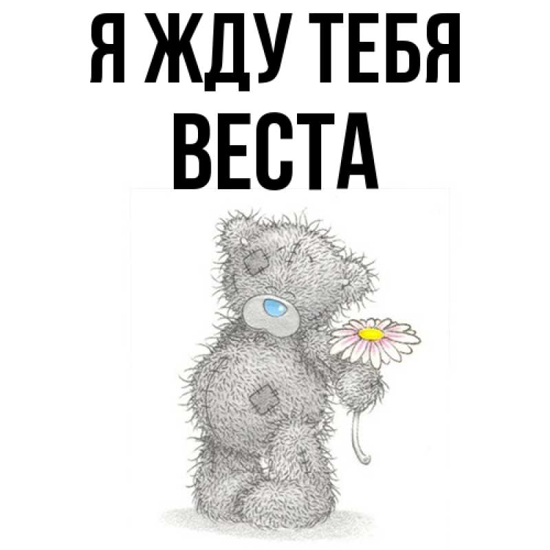 Картинка Я жду тебя, Веста