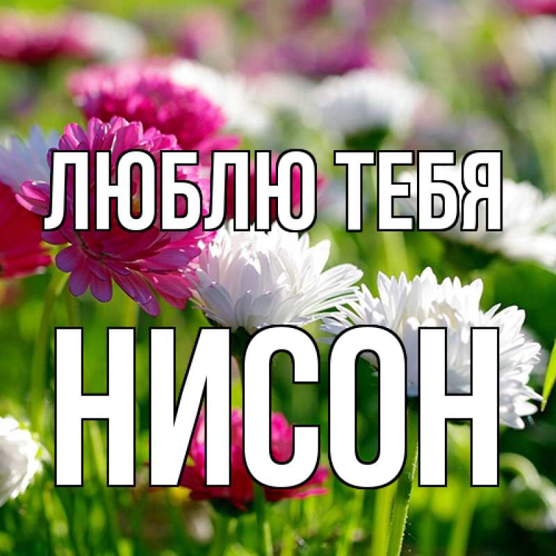Открытка с именем, Нисон, Люблю тебя