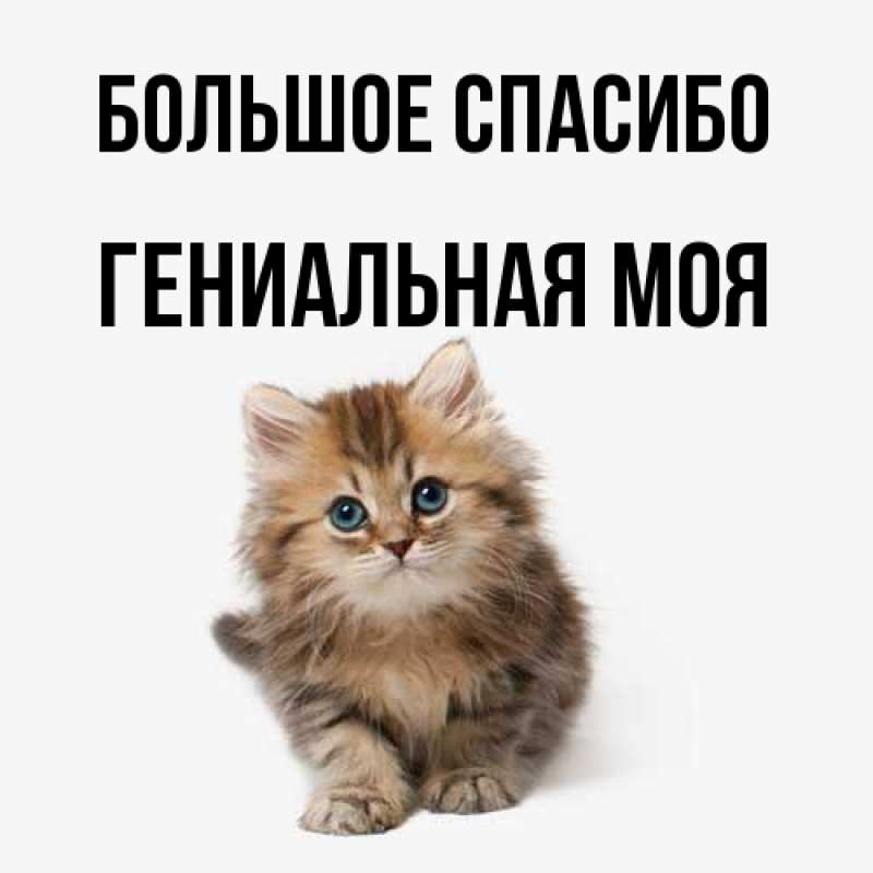 Картинка Большое спасибо, Гениальная моя