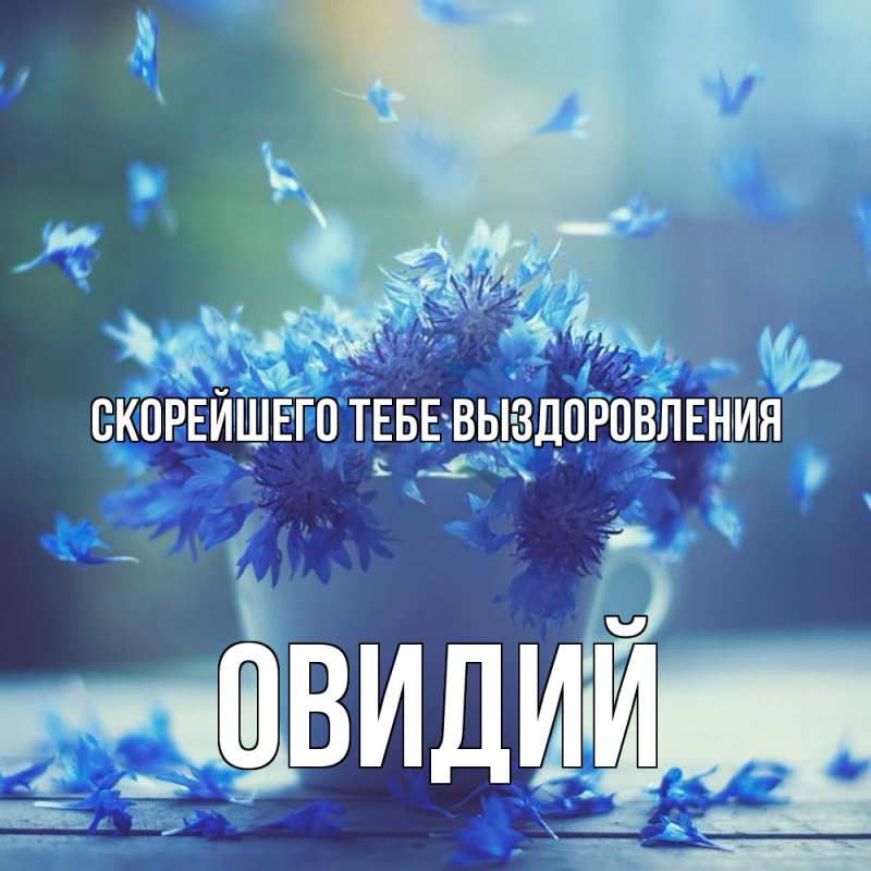 Открытка с именем, Овидий, Скорейшего тебе выздоровления