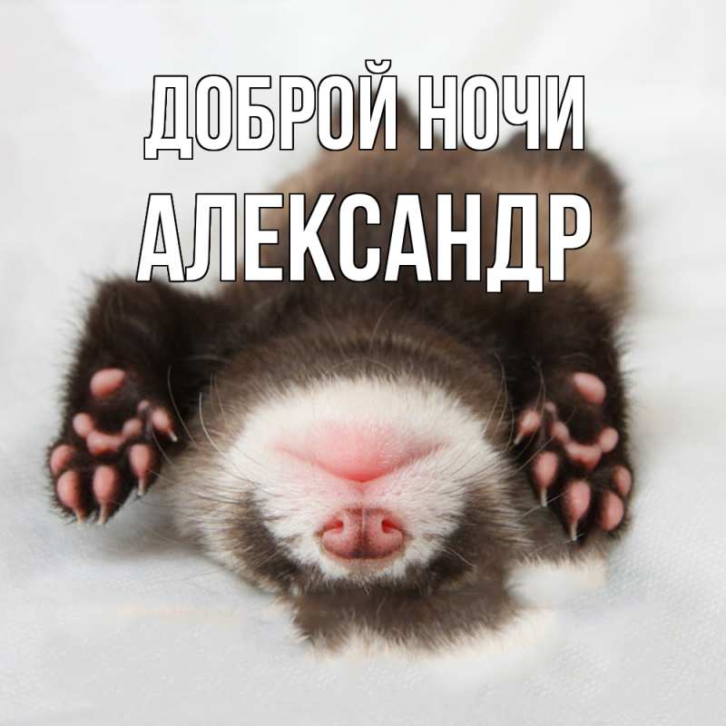 Картинка Доброй ночи, Александр
