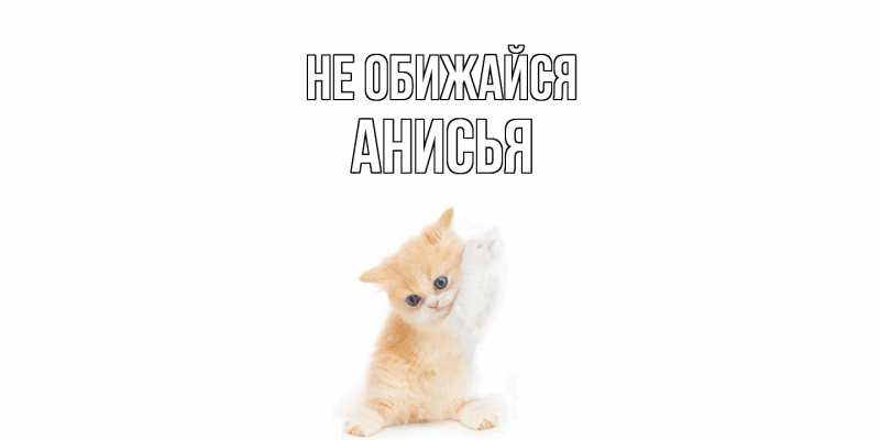 Картинка Не обижайся, Анисья