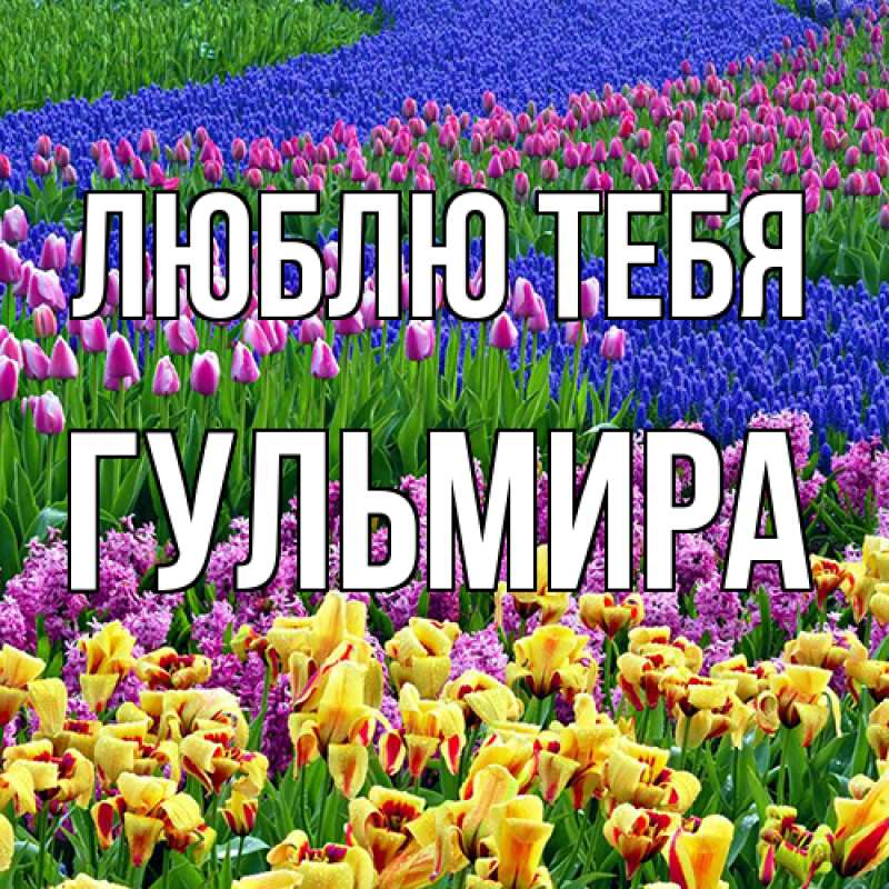 Картинка Люблю тебя, Гульмира