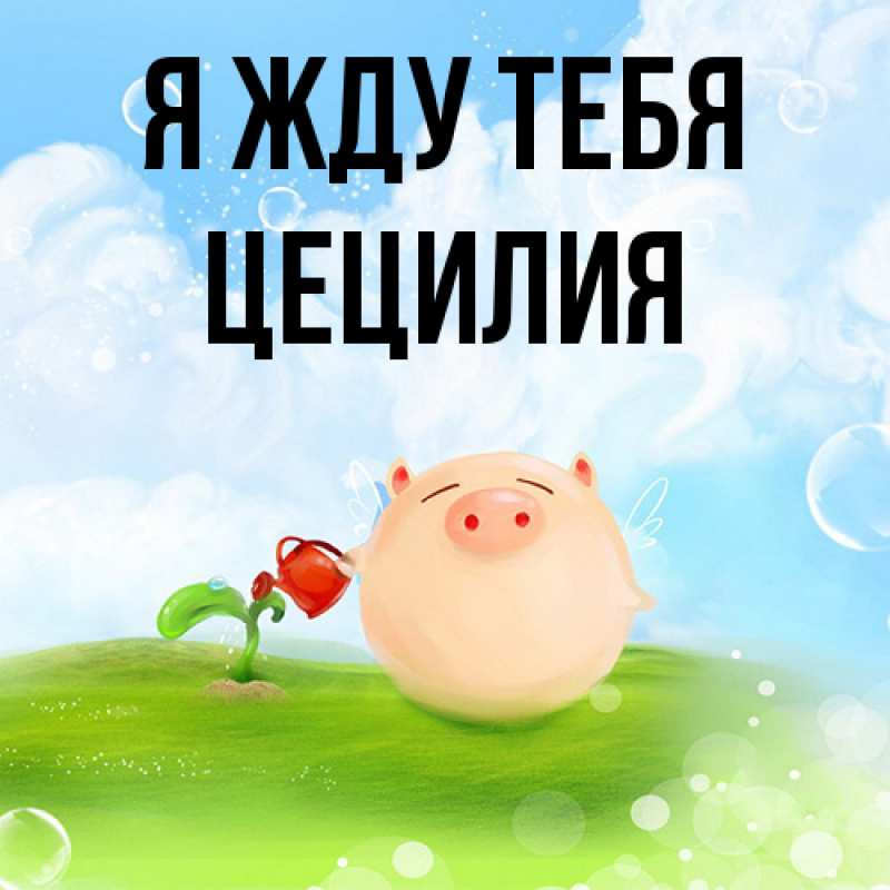 Картинка Я жду тебя, Цецилия