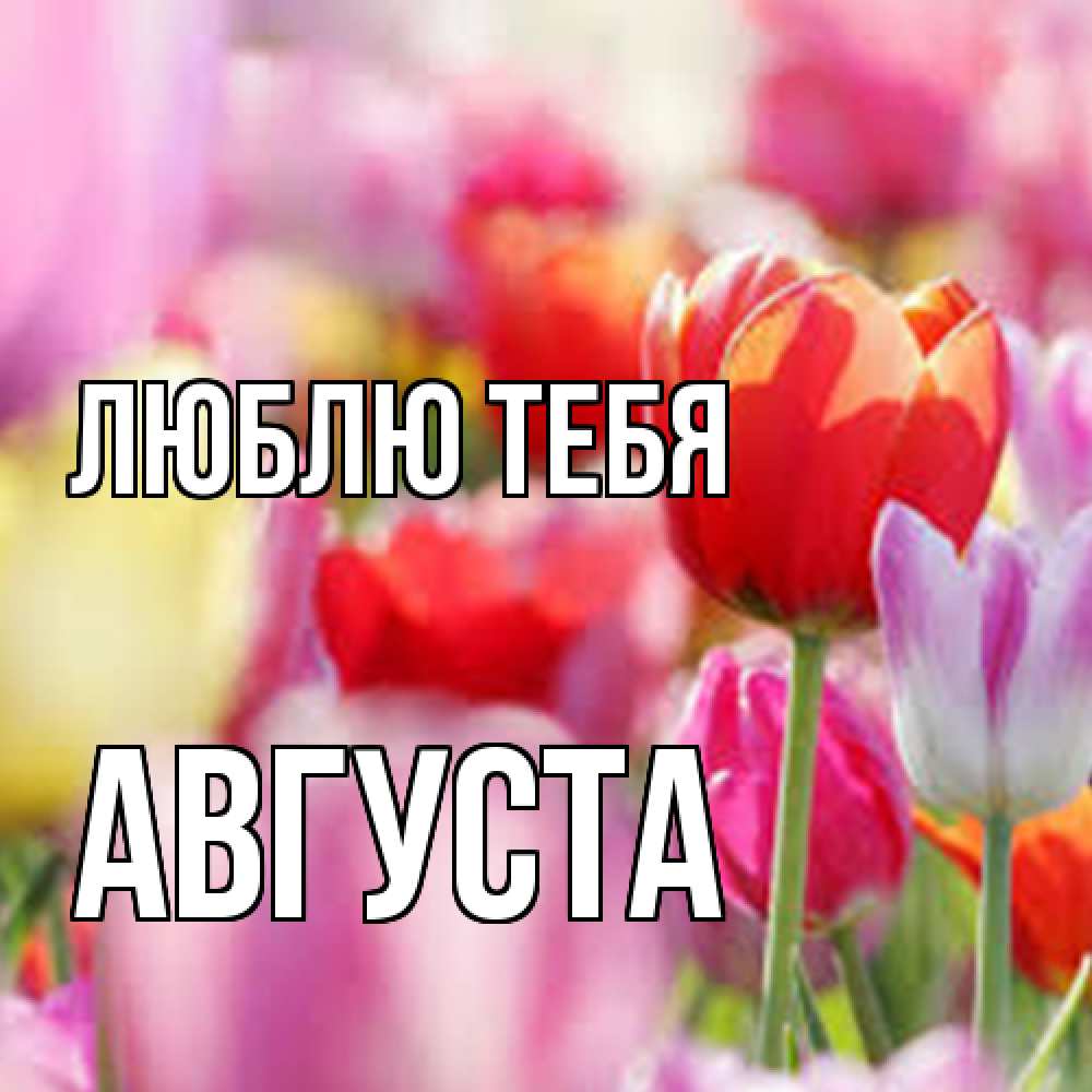 Открытка на каждый день с именем, Августа Люблю тебя на международный женский день 2 Прикольная открытка с пожеланием онлайн скачать бесплатно 