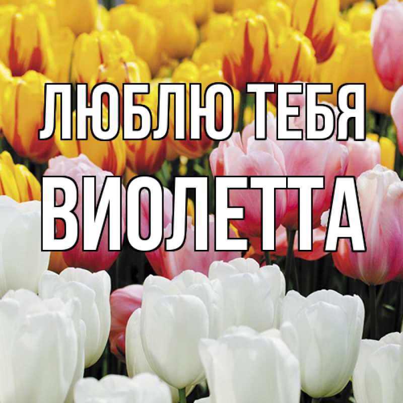 Картинка Люблю тебя, Виолетта