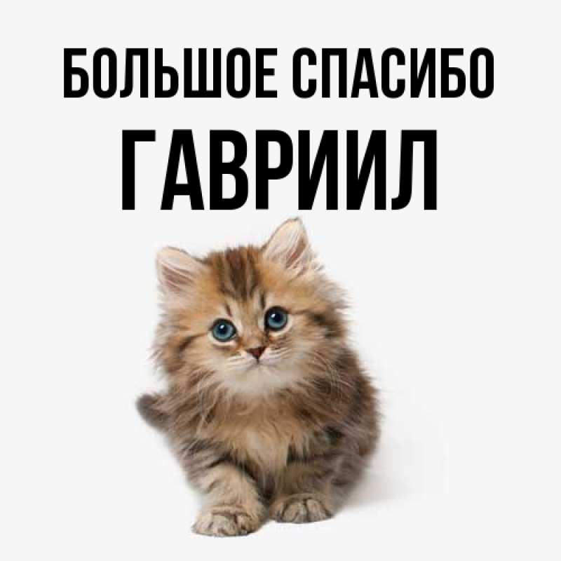 Картинка Большое спасибо, Гавриил