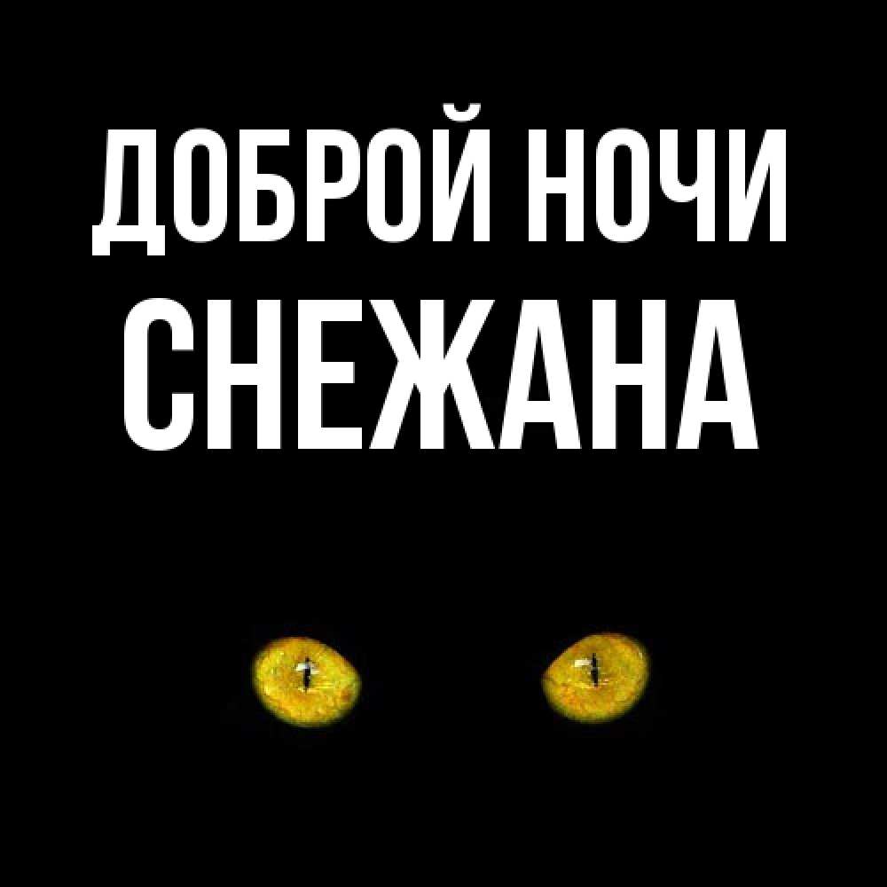Открытка на каждый день с именем, Снежана Доброй ночи сладких снов бесстрашный мой дружочек Прикольная открытка с пожеланием онлайн скачать бесплатно 