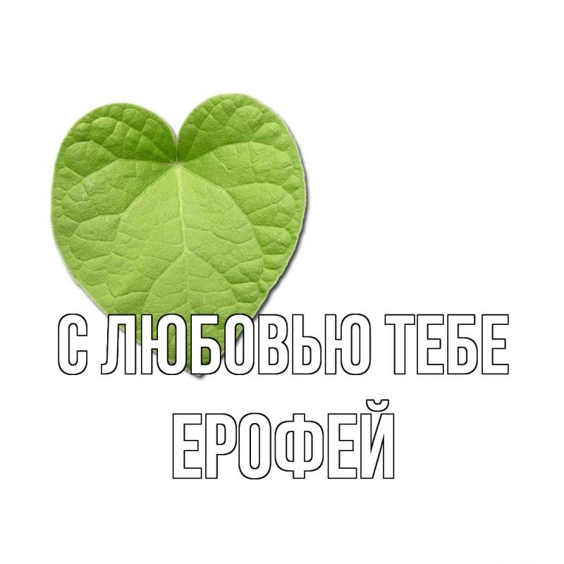 Картинка С любовью тебе, Ерофей