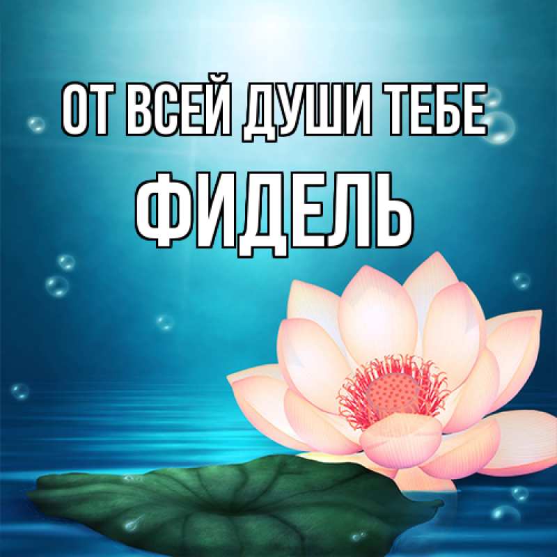 Открытка с именем, Фидель, От всей души тебе