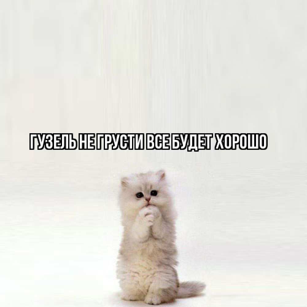 Открытка на каждый день с именем, Гузель Не грусти все будет хорошо грустный кот Прикольная открытка с пожеланием онлайн скачать бесплатно 