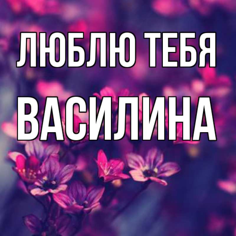 Картинка Люблю тебя, Василина