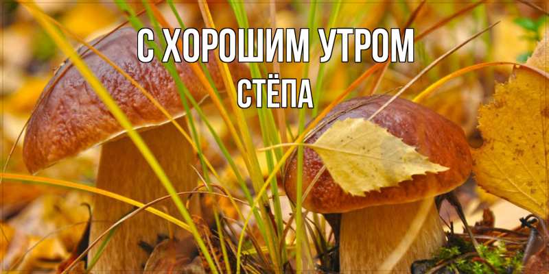 Открытка с именем, Стёпа, С хорошим утром