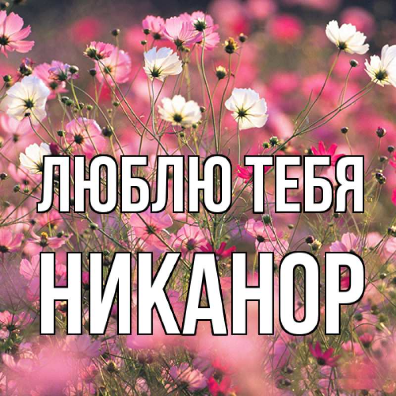 Картинка Люблю тебя, Никанор