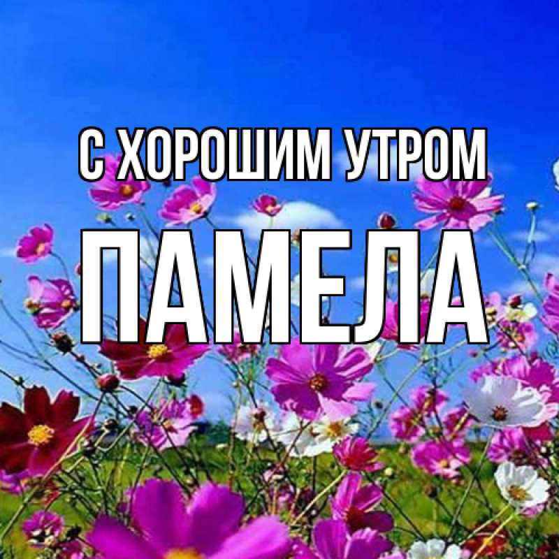Картинка С хорошим утром, Памела