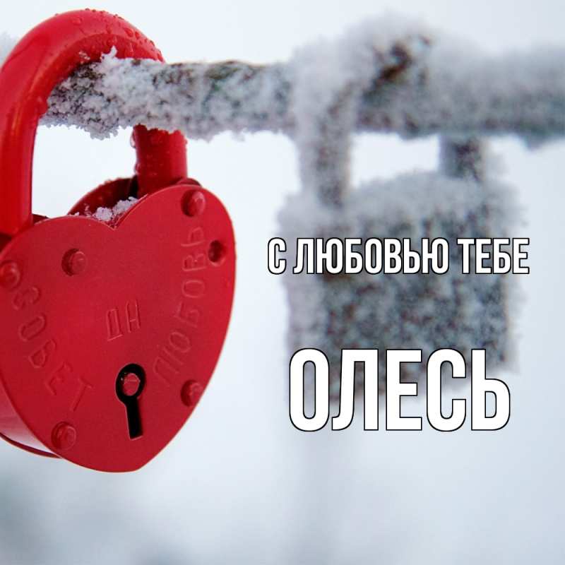Картинка С любовью тебе, Олесь