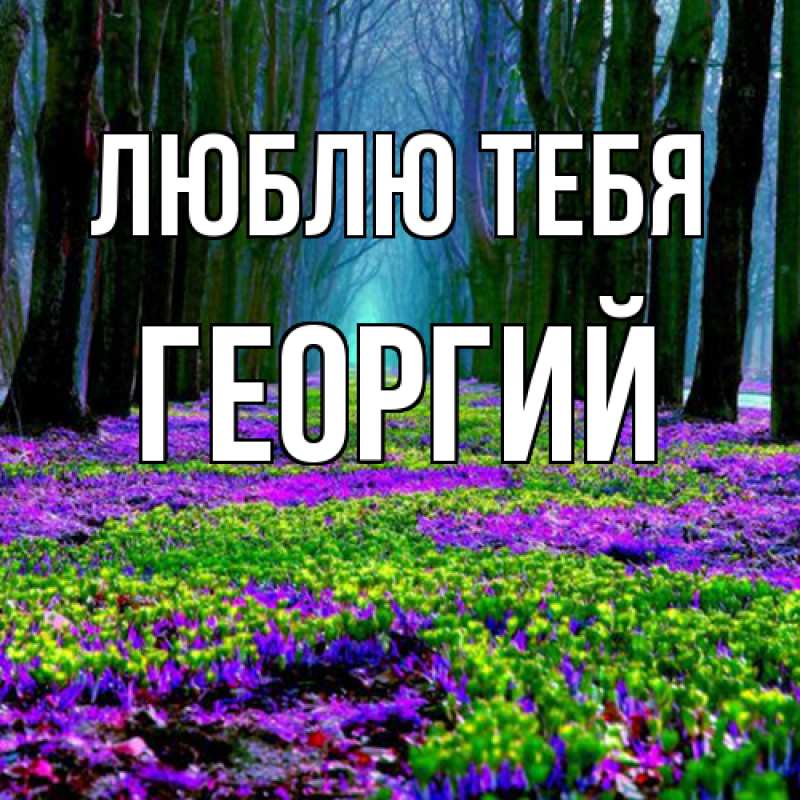 Картинка Люблю тебя, Георгий