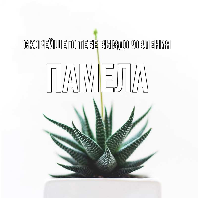 Картинка Скорейшего тебе выздоровления, Памела