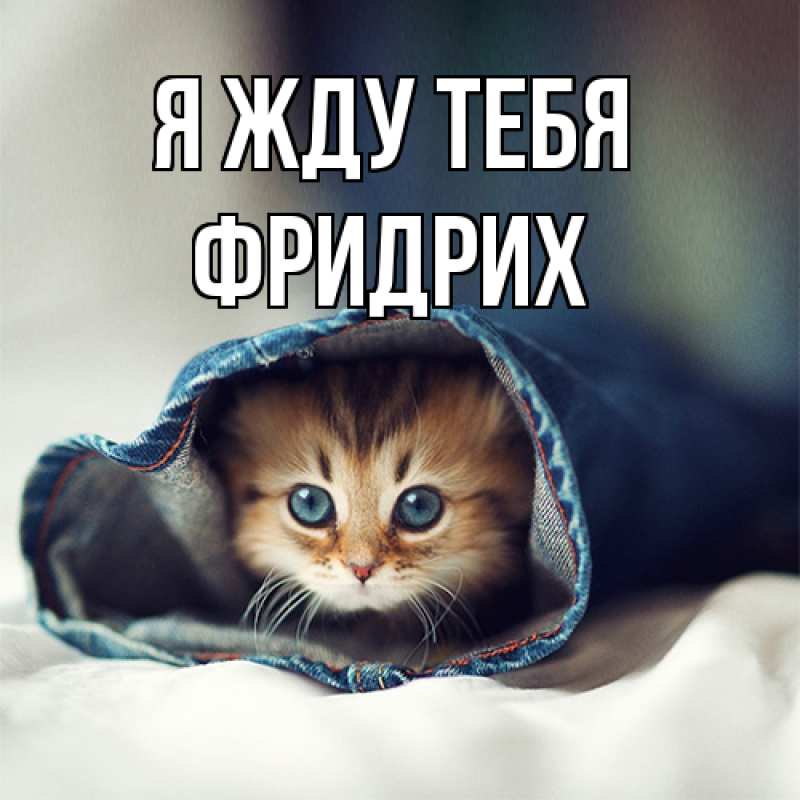 Открытка с именем, Фридрих, Я жду тебя