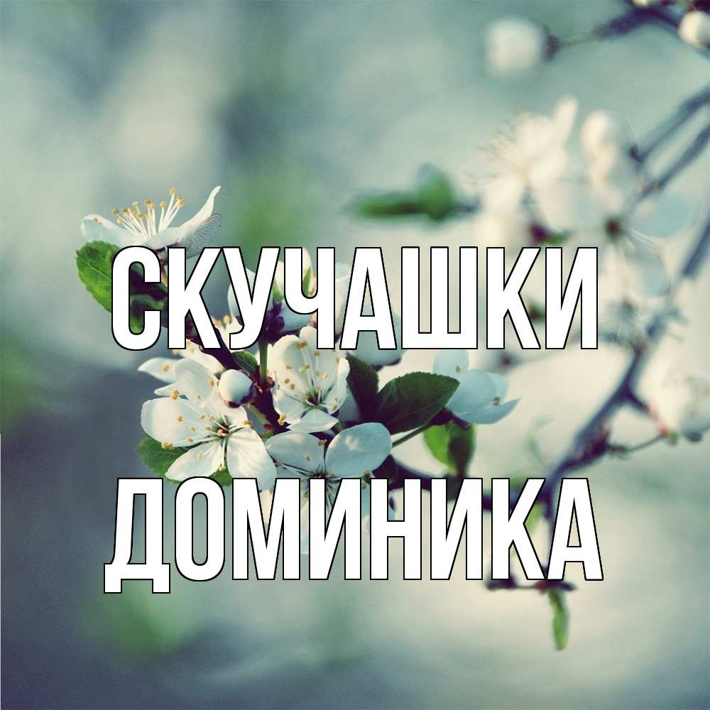 Открытка на каждый день с именем, Доминика Скучашки весна Прикольная открытка с пожеланием онлайн скачать бесплатно 