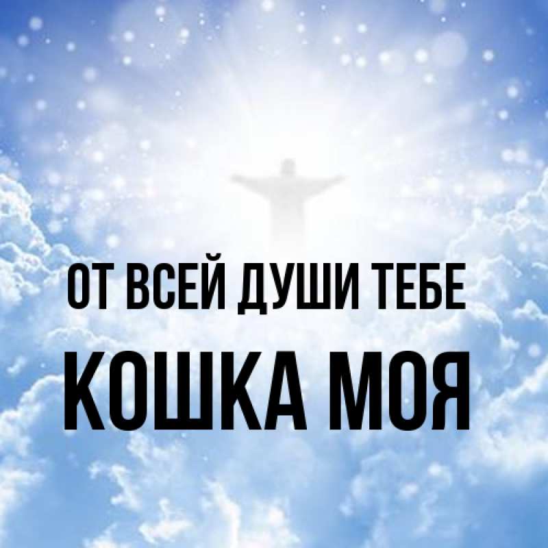 Картинка От всей души тебе, Кошка моя